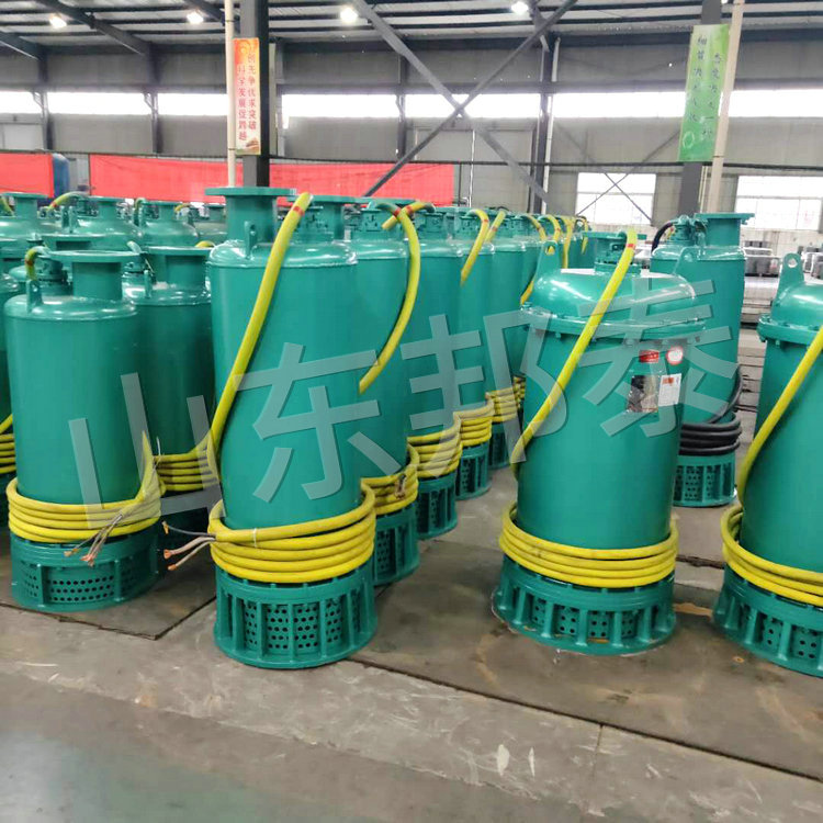 BQS160KW矿用防爆潜水泵EXBT2.jpg